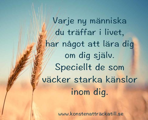 Konsten att räcka till Konsten att räcka till