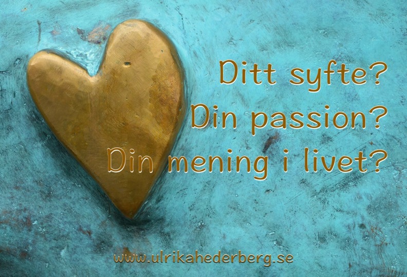 högkänsliga och meningen med livet högkänsliga och meningen med livet