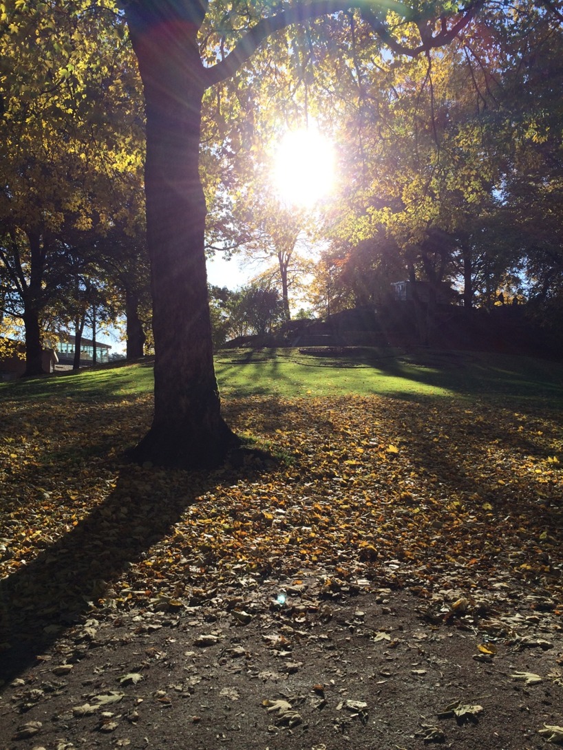 Lyckad utbidlningsdag i retorik hos lärare i Borås. En paus med höstsol i stadsparken. Lyckad utbidlningsdag i retorik hos lärare i Borås. En paus med höstsol i stadsparken.