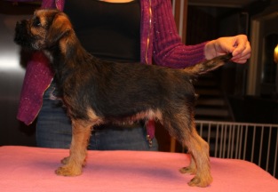191104 Gordon 191104 Gordon