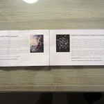 Official text in SIHH Catalogue 2013 in both French and English