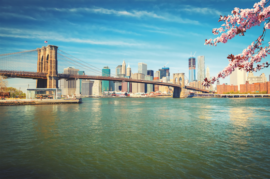 Vy mot Brooklyn bridge och Manhattan. Foto: Shutterstock Vy mot Brooklyn bridge och Manhattan. Foto: Shutterstock