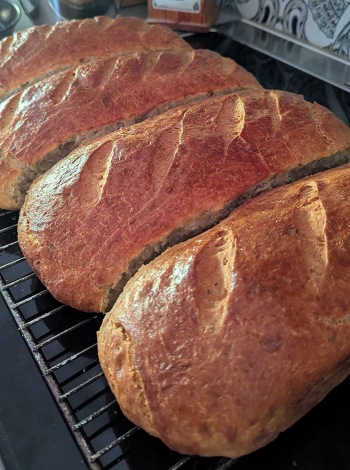 Färdiggräddade limpor