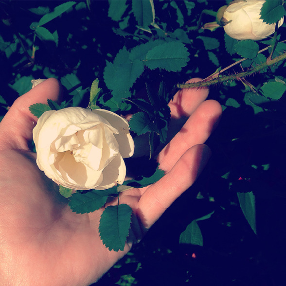 8A3D2C5F-1C46-4902-AA2D-BC419E13E8B9.jpg 8A3D2C5F-1C46-4902-AA2D-BC419E13E8B9.jpg