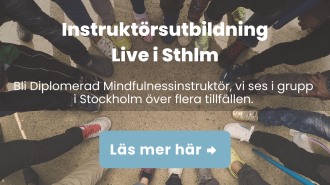Instruktörsutbildning i Stockholm