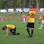 robban har fått en gulsvart på fall