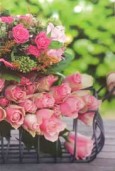 Presentkort - Pink Roses