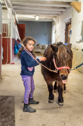 Stallhäng på Norrby Gård. Här Agnes Camacho. Stallhäng på Norrby Gård. Här Agnes Camacho.