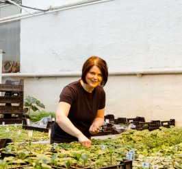 Det är full fart i växthusen på Solåkers handelsträdgård. Här är Cecilia Burge i färd med att pyssla om plantorna. Det är full fart i växthusen på Solåkers handelsträdgård. Här är Cecilia Burge i färd med att pyssla om plantorna.
