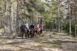 I juninumret besöker vi Edeby gård mellan Stallarholmen och Mariefred och tar oss en tur med islandshästar. I juninumret besöker vi Edeby gård mellan Stallarholmen och Mariefred och tar oss en tur med islandshästar.