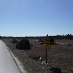 På Fårö finns det många Färistar, alltså galler i vägen som ska hindra exempelvis får att passera platser på vägen där den går genom stängsel.