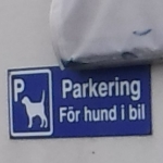 Utandför ICA Maxi i Visby hittade jag speciella parkeringsplatser för bilar med hundar i.