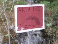 "AKTA IGGE".