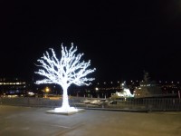 Ett lysande träd vid färjeterminalen i Tromsø.