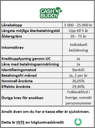 Låga inkomstkrav för lån hos CashBuddy Låga inkomstkrav för lån hos CashBuddy