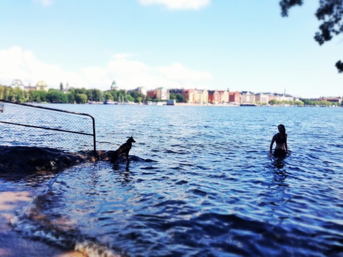 Sara halvvägs ut
