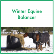 ForagePlus: Winter Equine Balancer, 5 kg
