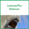 ForagePlus Laminae-Plus Balancer, 5 kg