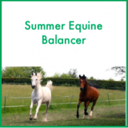 Forageplus Summer Equine Balancer, 5 kg