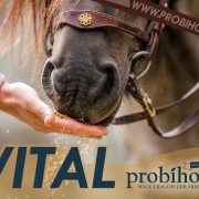 VITAL Probihorse