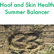 Forageplus Hoof & Skin Health Summer Balancer, 5 kg