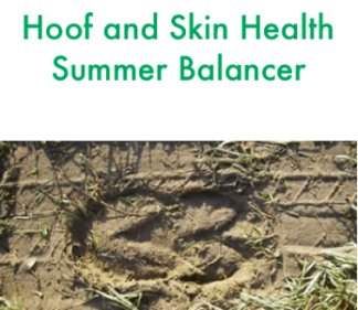Forageplus Hoof & Skin Health Summer Balancer, 5 kg - 