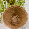 Naturliga krukor