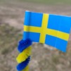 Midsommarstång
