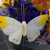 Fjärilar olika färg 4st