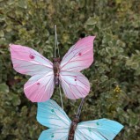 Fjärilar på stick 24st