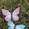 Fjärilar på stick 24st - Fjärilar 24st