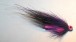 Purple Night Zonker Herring