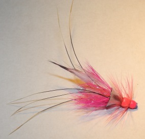 Pink Francis Wing - Pink Francis Wing 5cm