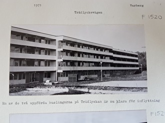 Fotot är hämtat från Hallands kulturhistoriska museum. Bilden visar hus B, Trädlyckevägen 62-74 år 1971.