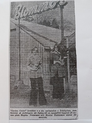 Tidningsartikel ur Hallands Nyheter 7/4-1975. Garden Center på Trädlyckan. På bilden syns Birgitta Pettersson och Monica Gustavsson.