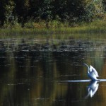 foto Ing-Marie Wallin