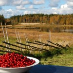 foto Ing-Marie Wallin