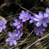 foto Ing-Marie Wallin
