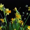 foto Ing-Marie Wallin