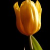 foto Ing-Marie Wallin
