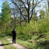 foto Ing-Marie Wallin
