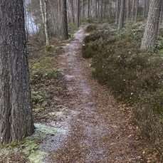 foto Kerstin 