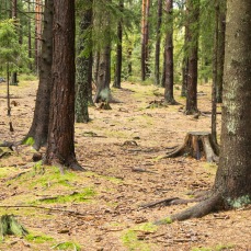 foto Lars Ingeson