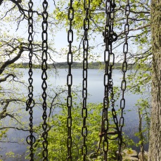 foto Lotta