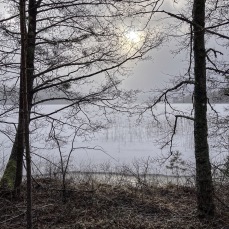 foto Sten