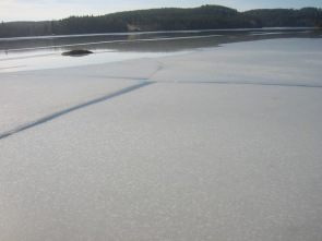foto Einar