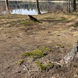 foto Kerstin