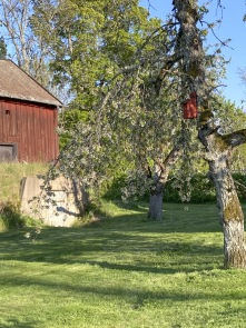 foto Sten