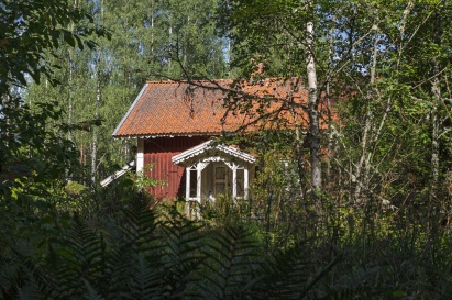 foto Torbjörn 