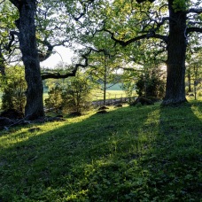 foto Ture Göransson Ekhage